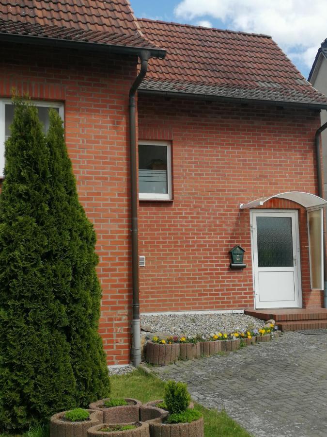 Katzensprung Zum Wald Appartamento Malchow (Mecklenburg-Vorpommern)